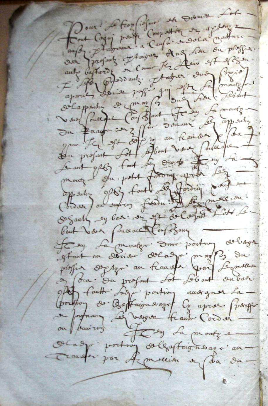 Cohon-F_1619 (8).JPG